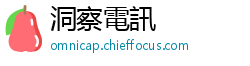 洞察電訊